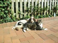 ein Bild aus dem Album