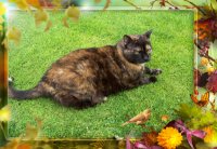 ein Bild aus dem Album