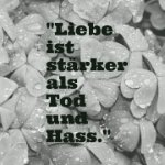 das zu drehende Bild