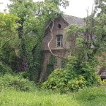 ein Bild aus dem Album