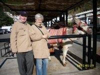 ein Bild aus dem Album